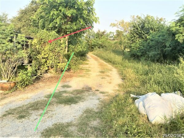 01 Land is empty. _photo