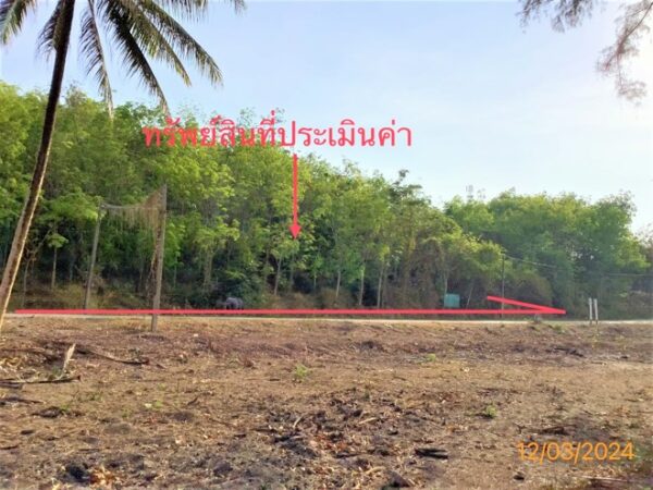 01 Land is empty. _photo