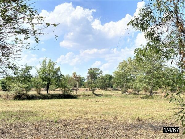 01 Land is empty. _photo