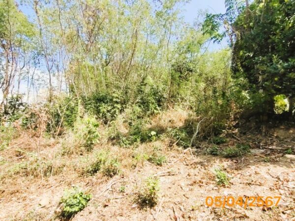 01 Land is empty. _photo