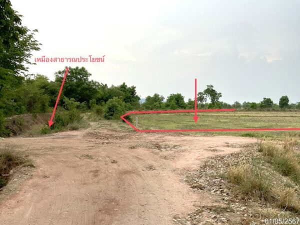 01 Land is empty. _photo