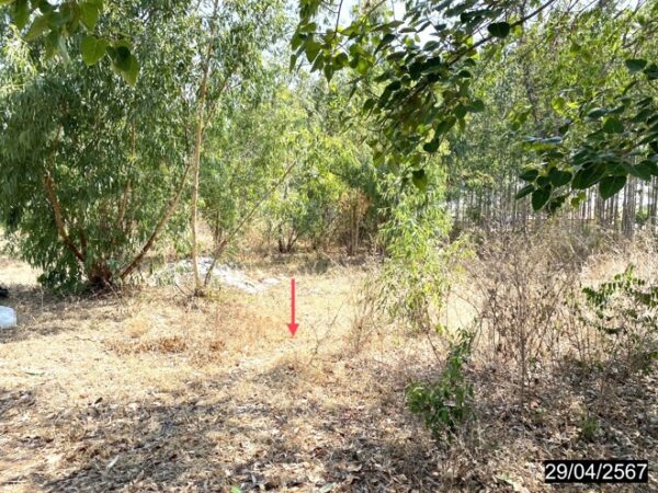 01 Land is empty. _photo