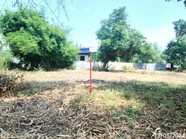 01 Land is empty. _photo