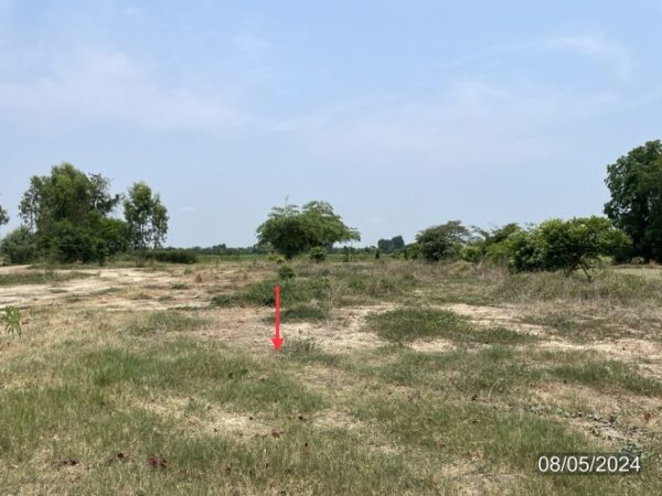 01 Land is empty. _photo