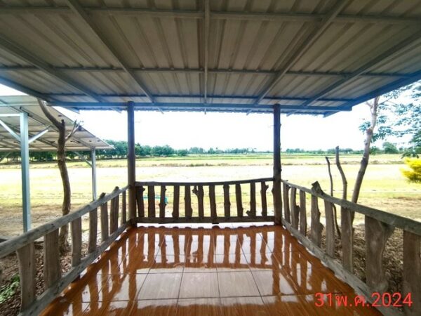02 Single House _photo