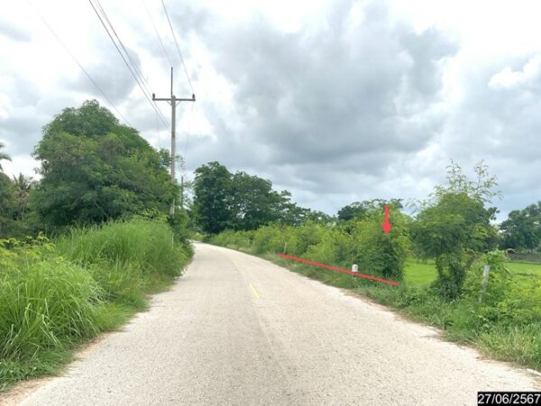 01 Land is empty. _photo