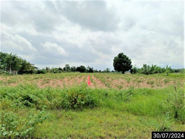 01 Land is empty. _photo