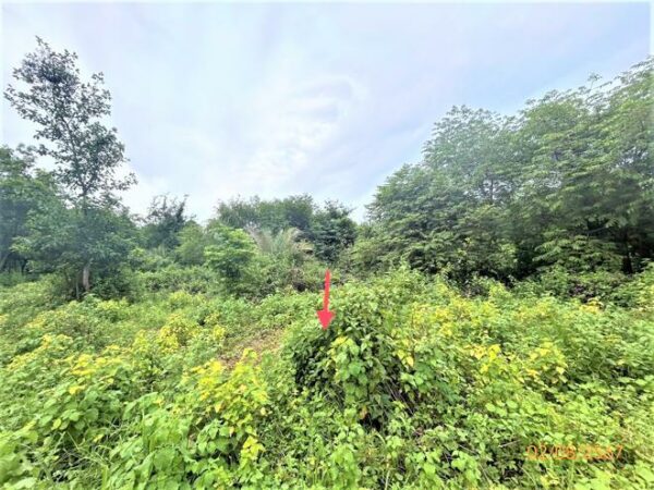 01 Empty Land _photo