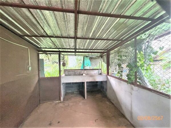 02 Single House _photo