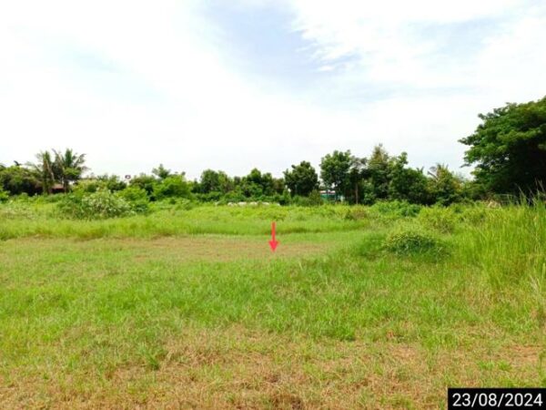 01 Land is empty. _photo
