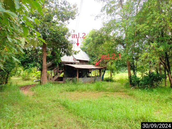 02 Single House _photo