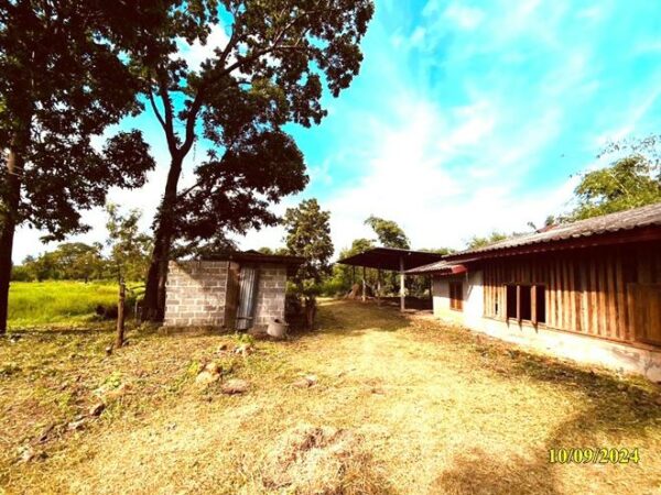 02 Single House _photo
