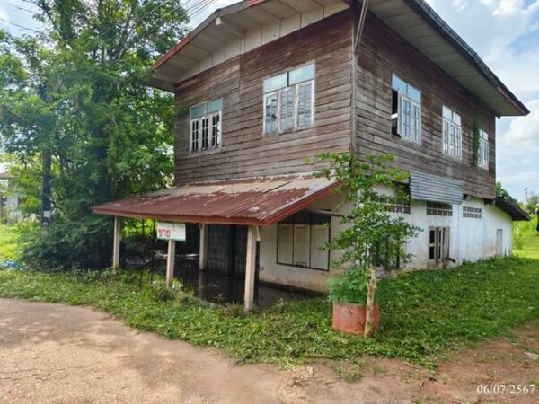 02 Single House _photo