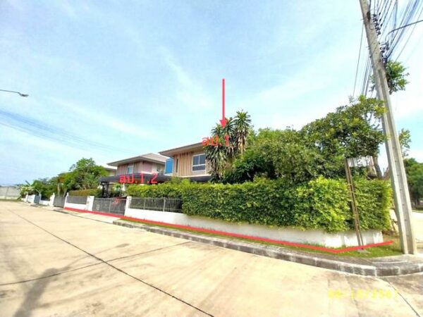 02 Single House _photo