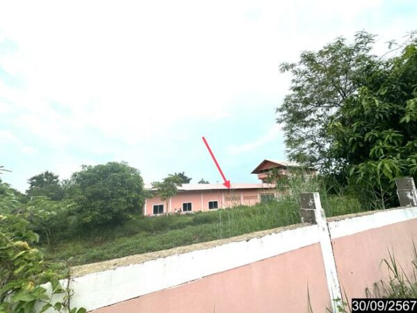 02 Single House _photo