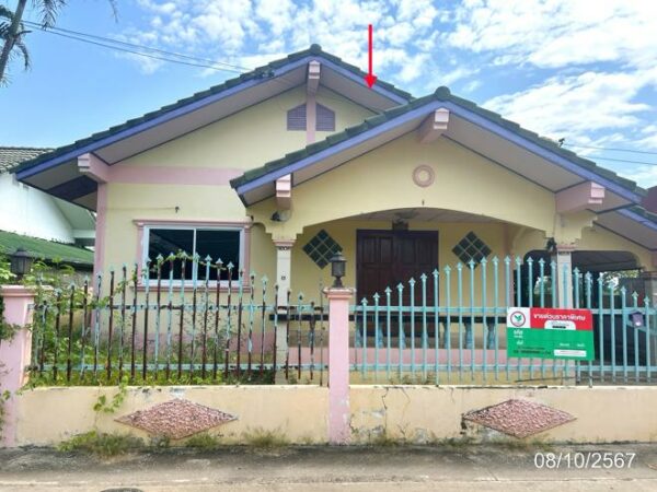 02 Single House _photo