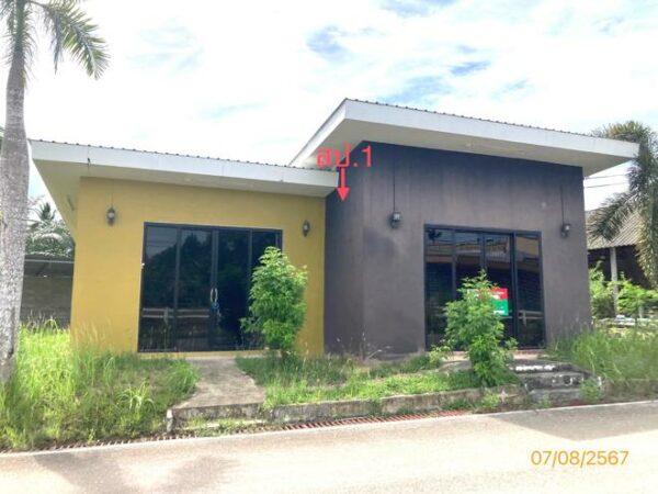02 Single House _photo