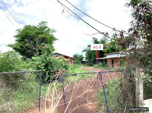 02 Single House _photo