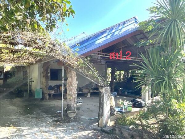 02 Single House _photo
