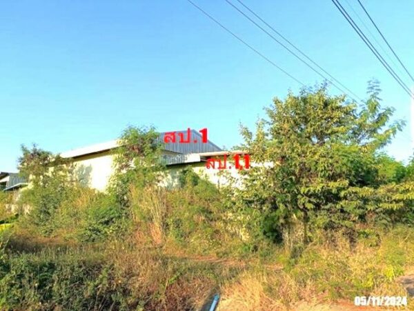 02 Single House _photo