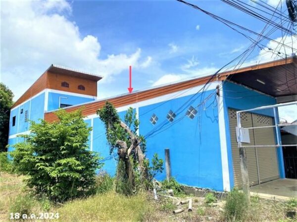 02 Single House _photo
