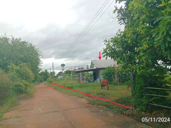 02 Single House _photo