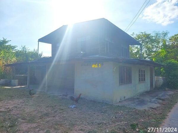 02 Single House _photo