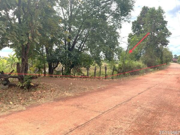 01 Land is empty. _photo