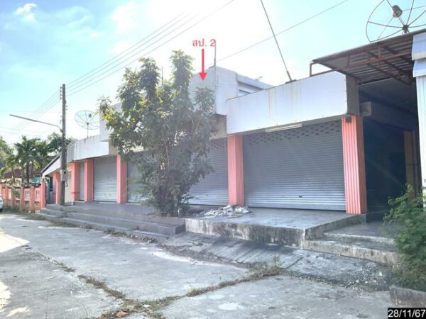 02 Single House _photo