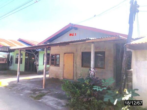 02 Single House _photo