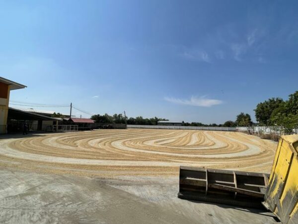 12 warehouses _photo