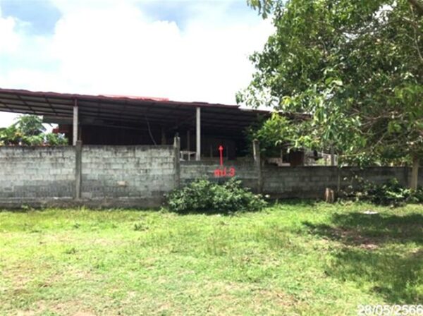 02 Single House _photo