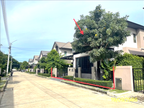 02 Single House _photo