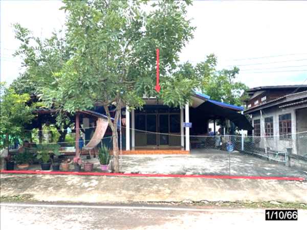 02 Single House _photo