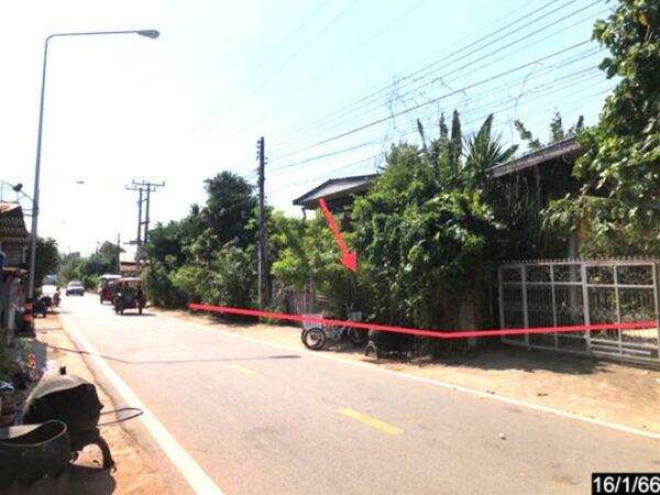 02 Single House _photo