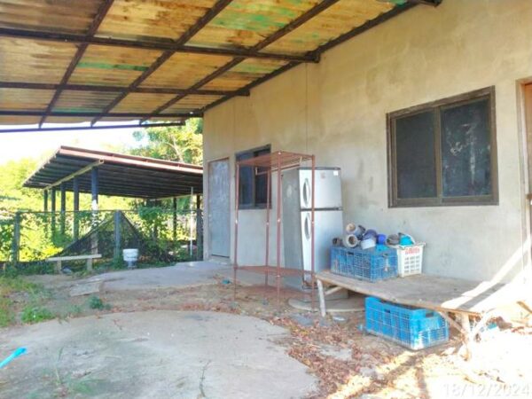 02 Single House _photo