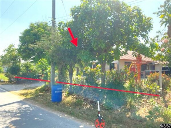 02 Single House _photo
