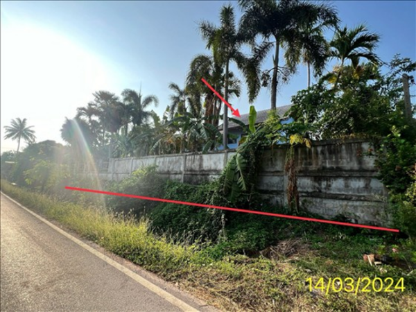 02 Single House _photo
