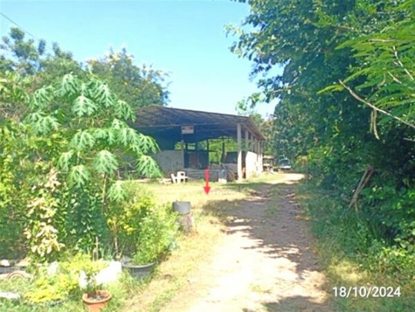 02 Single House _photo