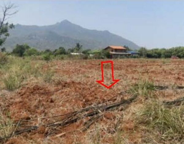 01 Land is empty. _photo