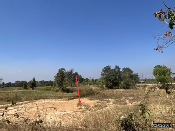 01 Land is empty. _photo