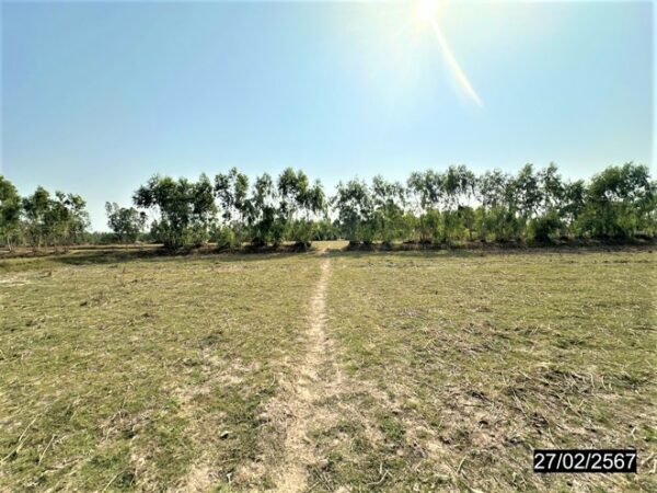 01 Land is empty. _photo