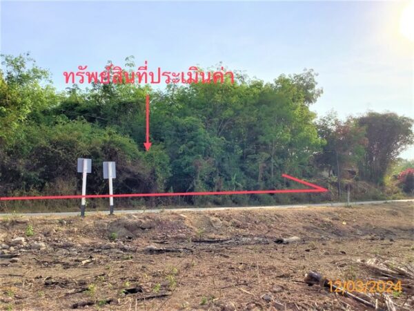 01 Land is empty. _photo