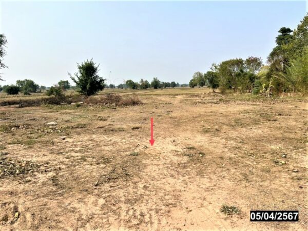 01 Land is empty. _photo