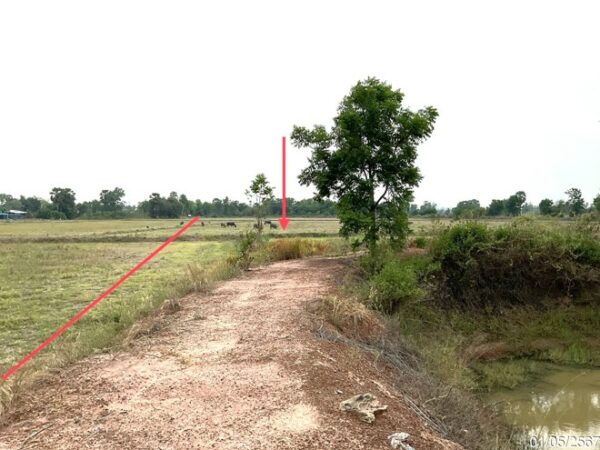 01 Land is empty. _photo