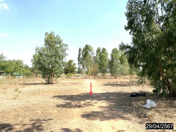 01 Land is empty. _photo