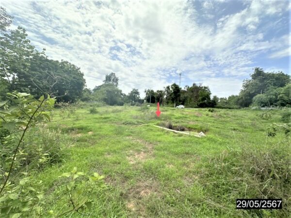 01 Land is empty. _photo