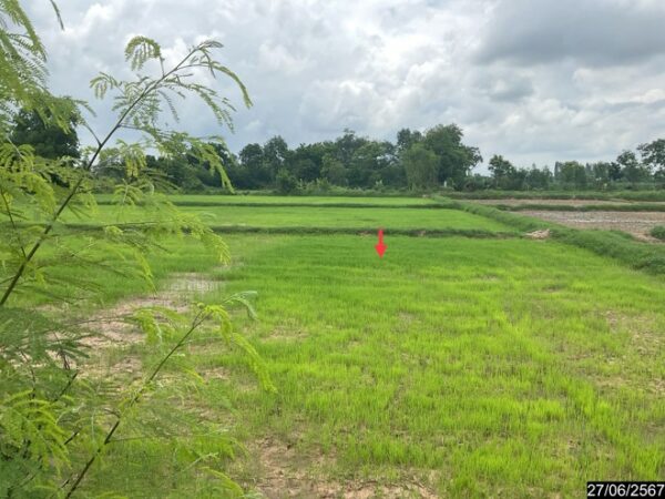 01 Land is empty. _photo