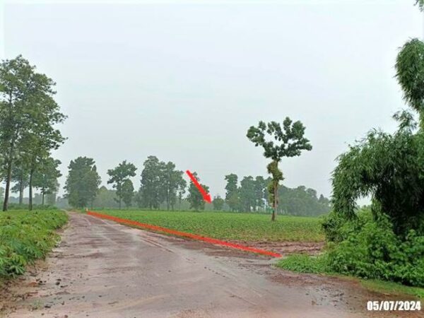 01 Land is empty. _photo