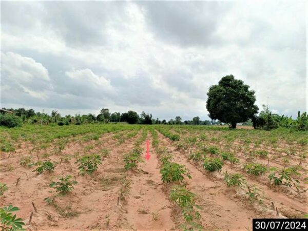 01 Land is empty. _photo